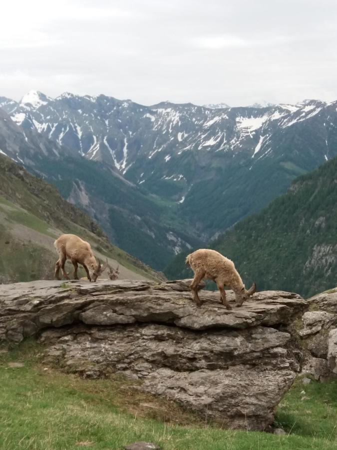 Vacances A La Montagne Saint-Julien-en-Champsaur Экстерьер фото