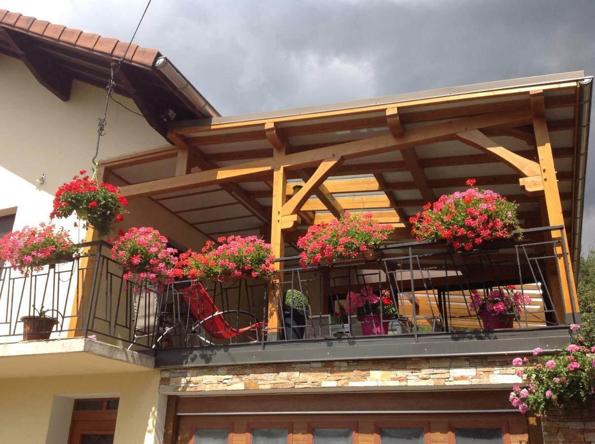Vacances A La Montagne Saint-Julien-en-Champsaur Экстерьер фото